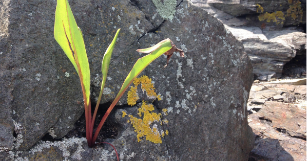 Échanges fructueux au travail