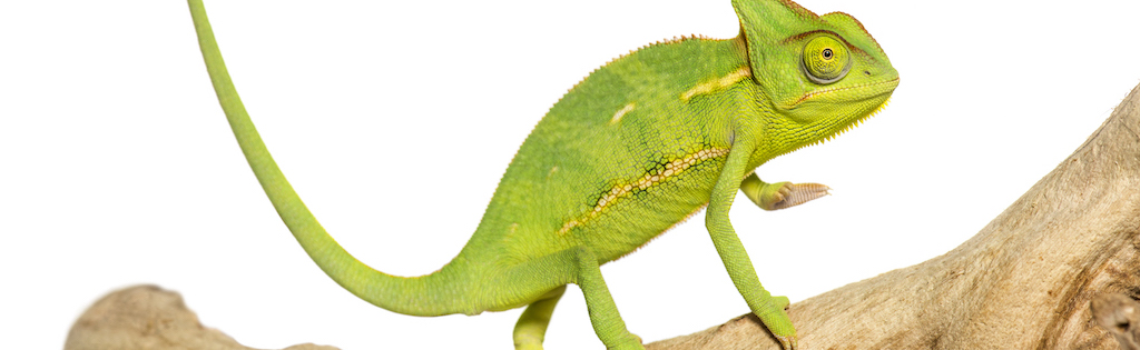 Travailler autrement