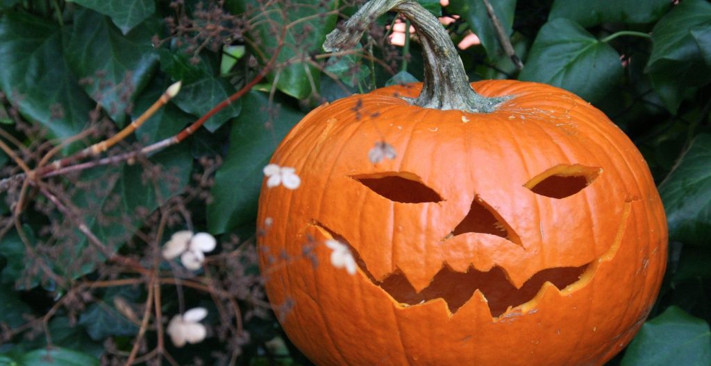 Citrouille à l'Halloween